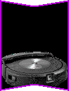 Roomba Portrait